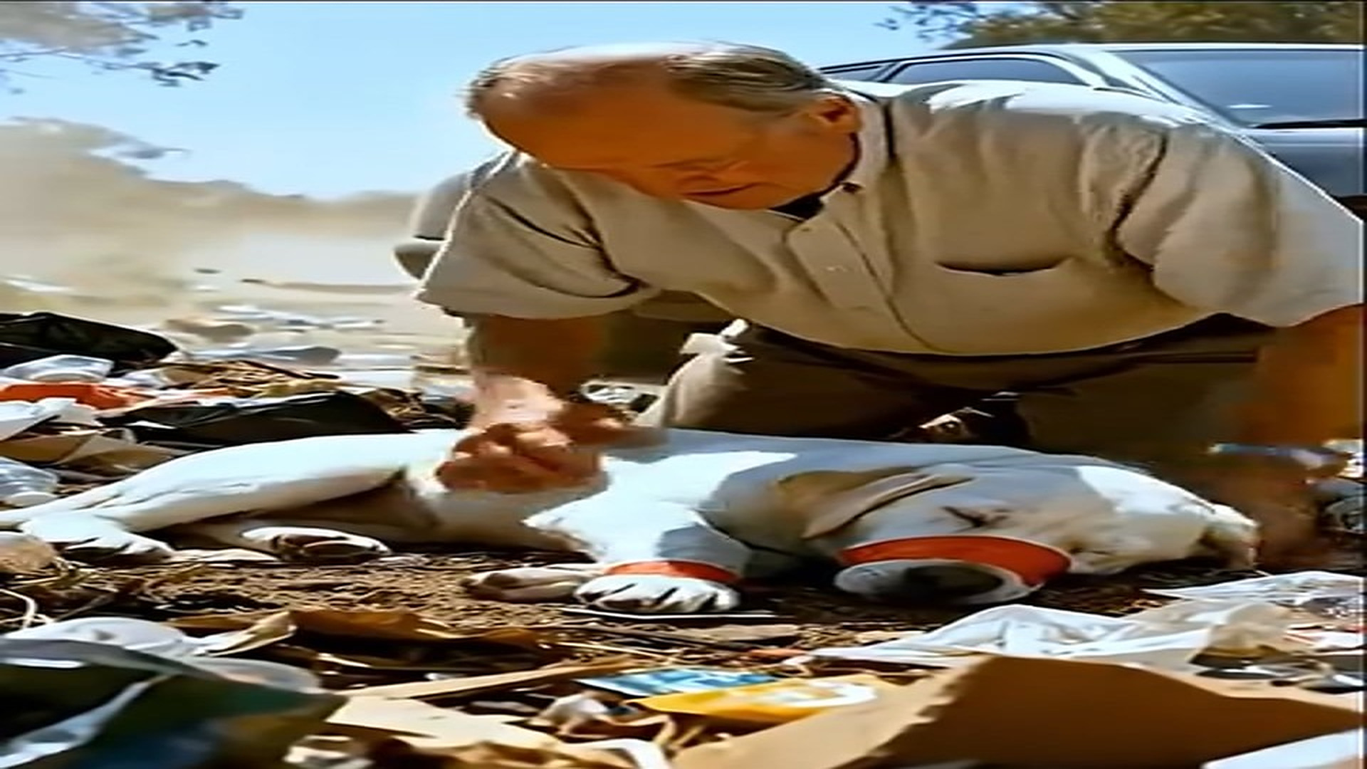 [Part 2] : D2406001_Kind Man Rescues a Puppy a Trash Site!_Part 000