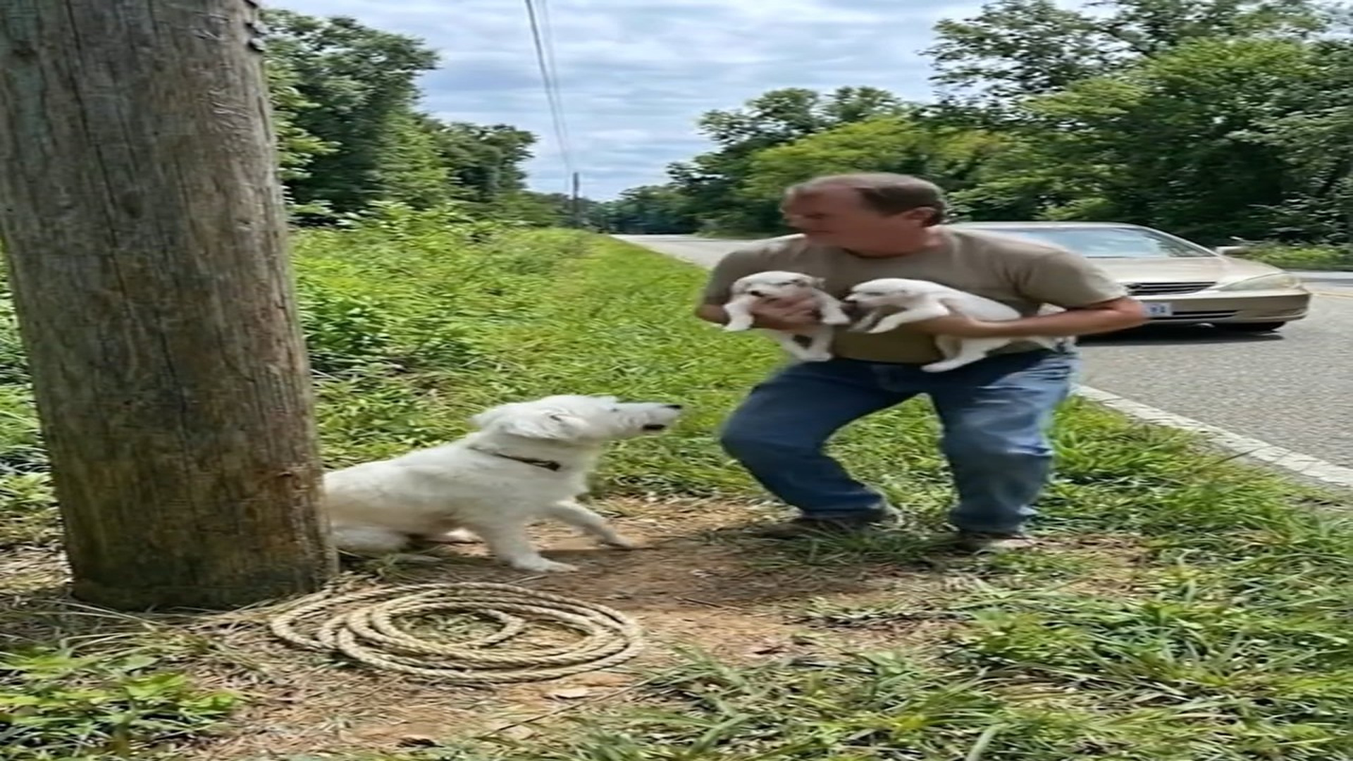 [Part 2] : D2707201_Please Don t Leave Me Here Animal Rescue_part 2